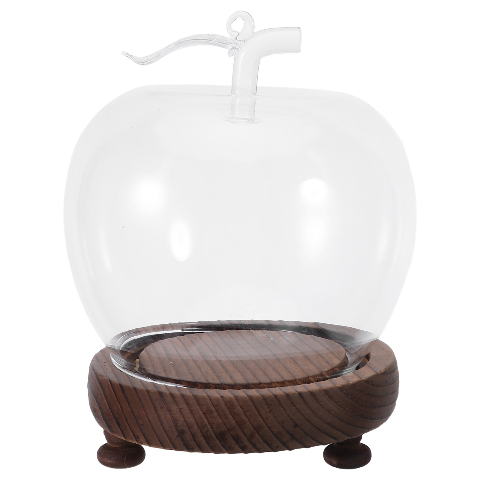 Decorative Glass Dome with Sol - Plastic Dome Clear avis et prix
