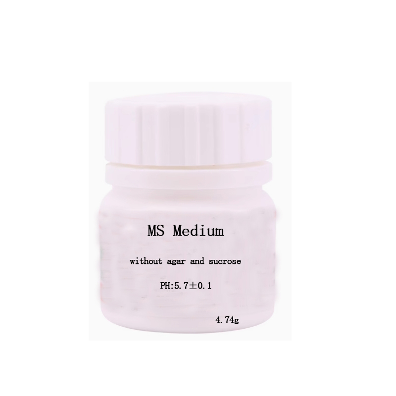 MS medium Without Agar Or Sucr - Agar Tissue Culture avis et prix