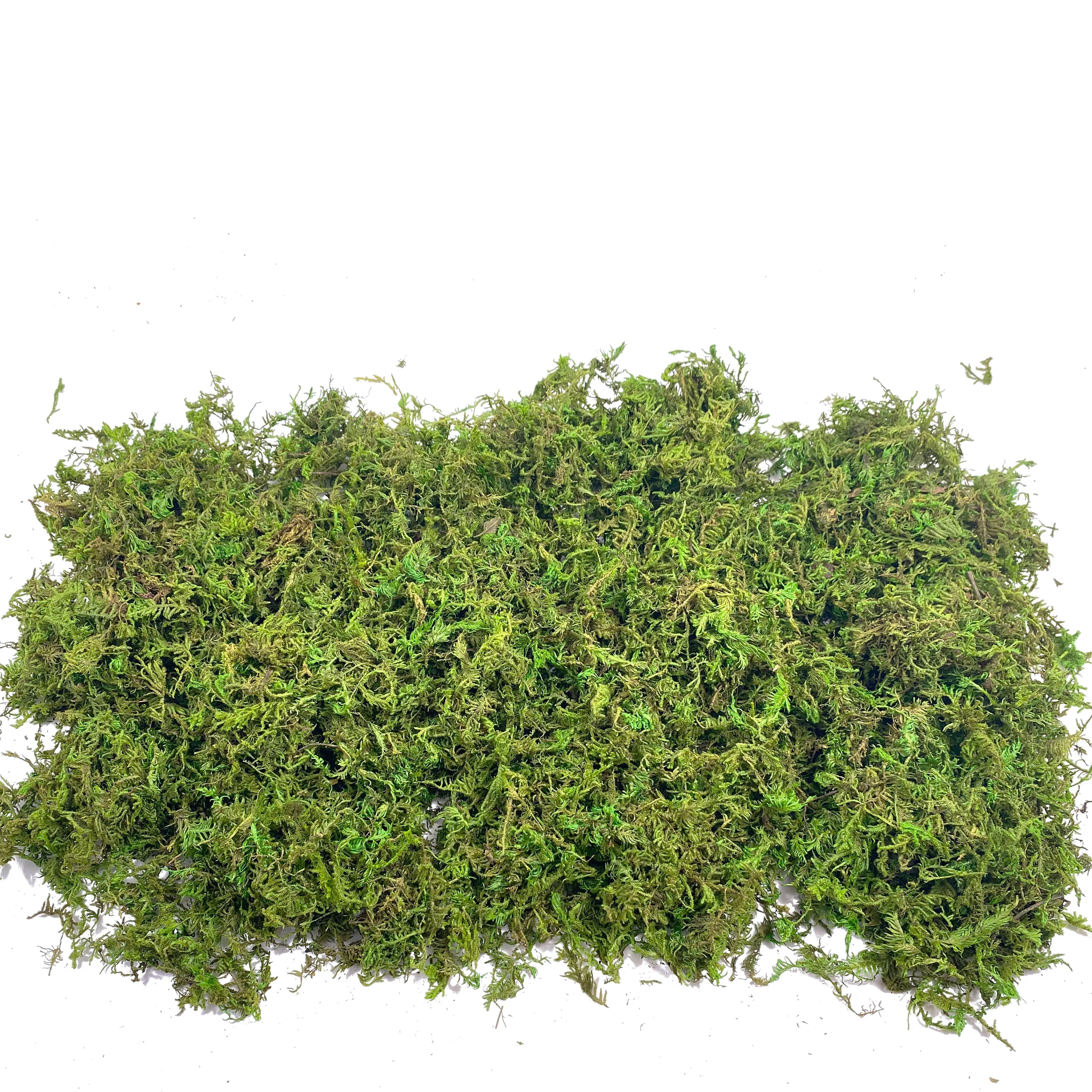 Fake Moss Artificial Moss for  - Sphagnum Moss Dry avis et prix