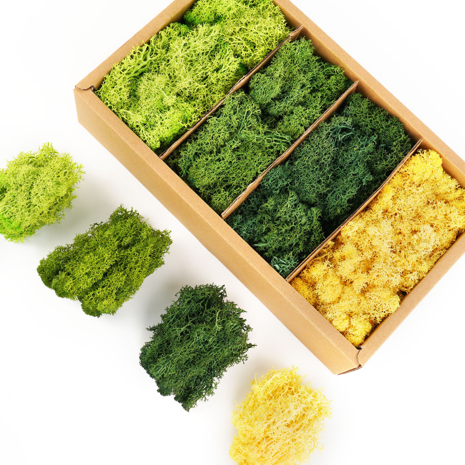 Artificial Green Plants Eterna - Sphagnum Moss Dry avis et prix