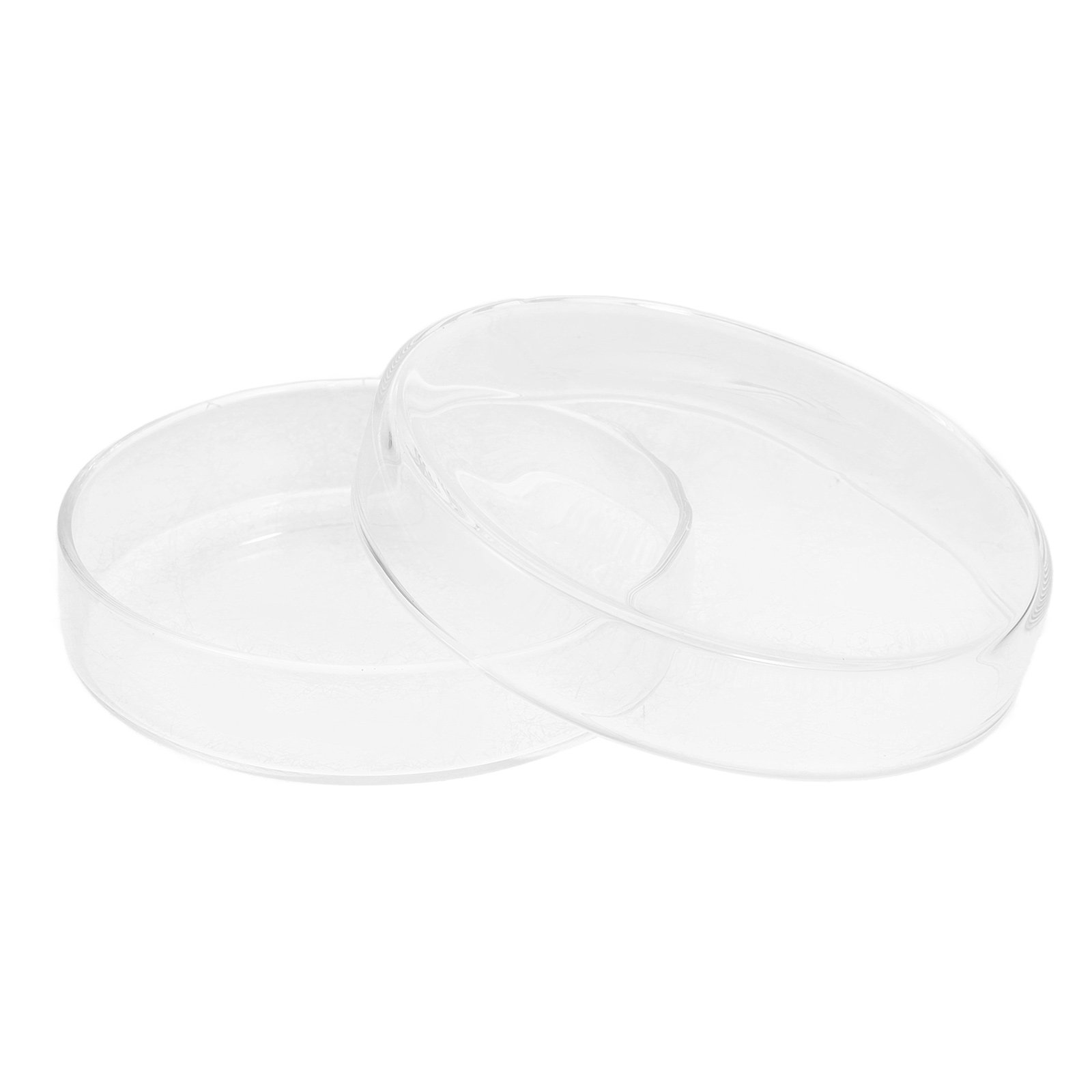 Glass Petri Dish High Borosili - Agar Tissue Culture avis et prix
