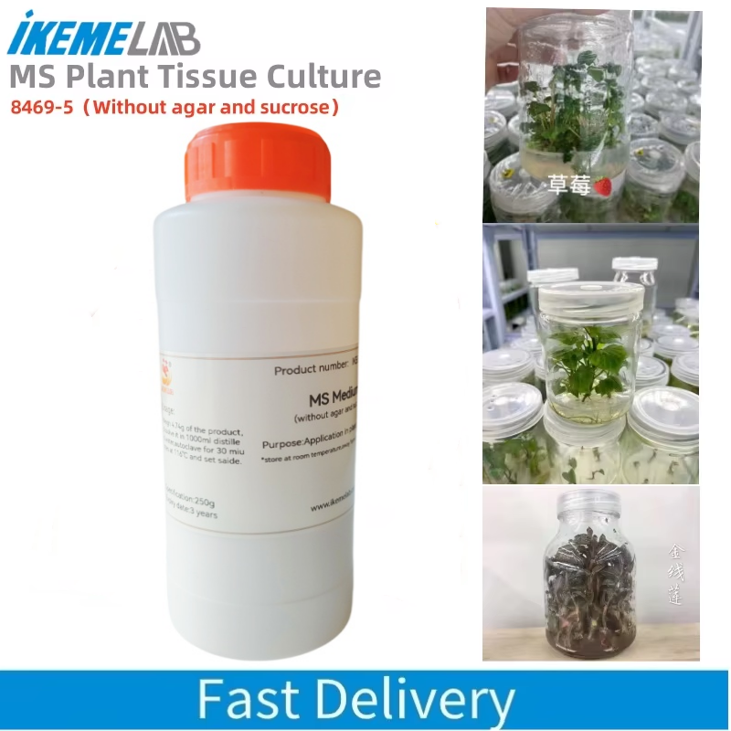 IKEME 250g Lab MS Medium Witho - Agar Tissue Culture avis et prix
