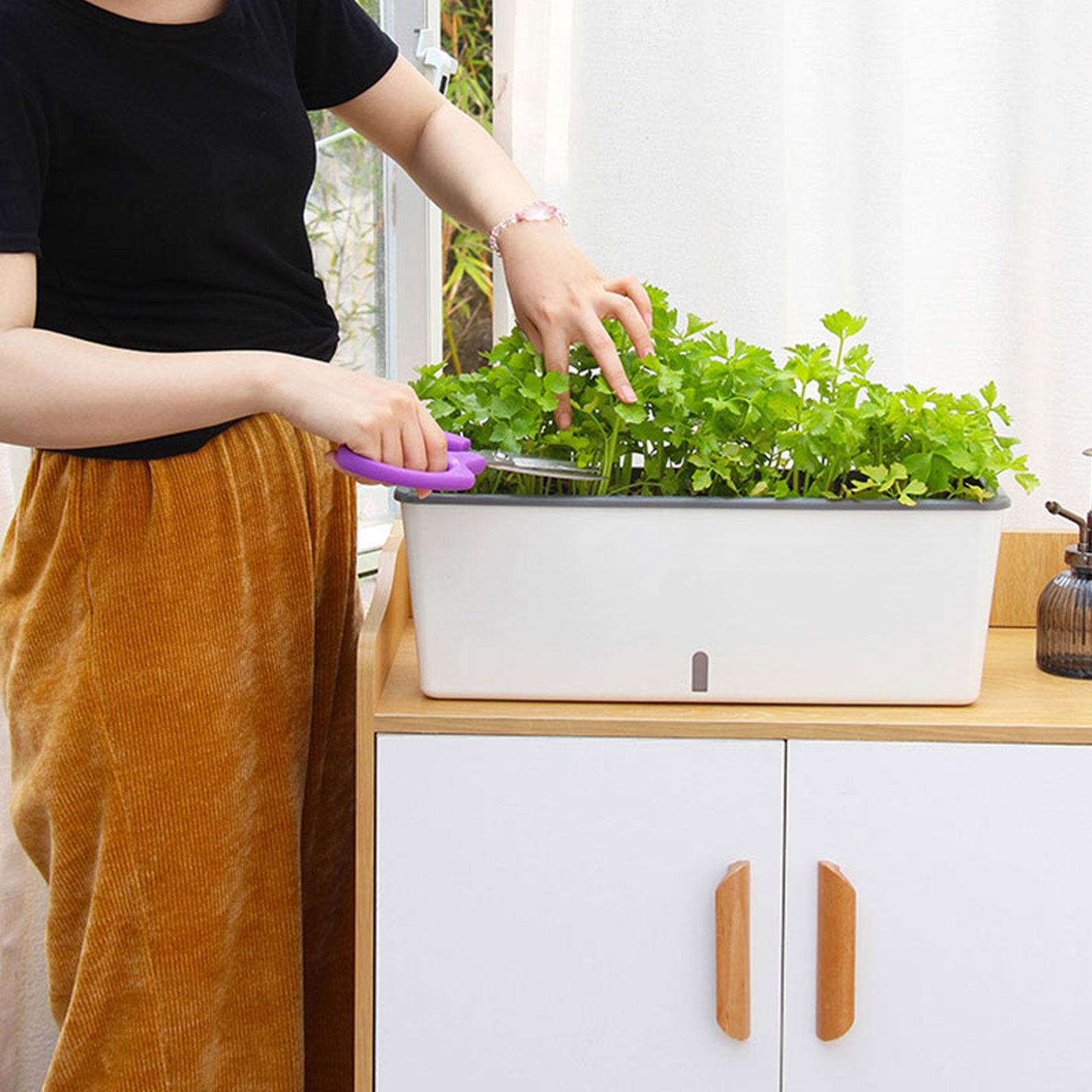 Self-Watering Planter Pots wit - Self Watering Insert avis et prix