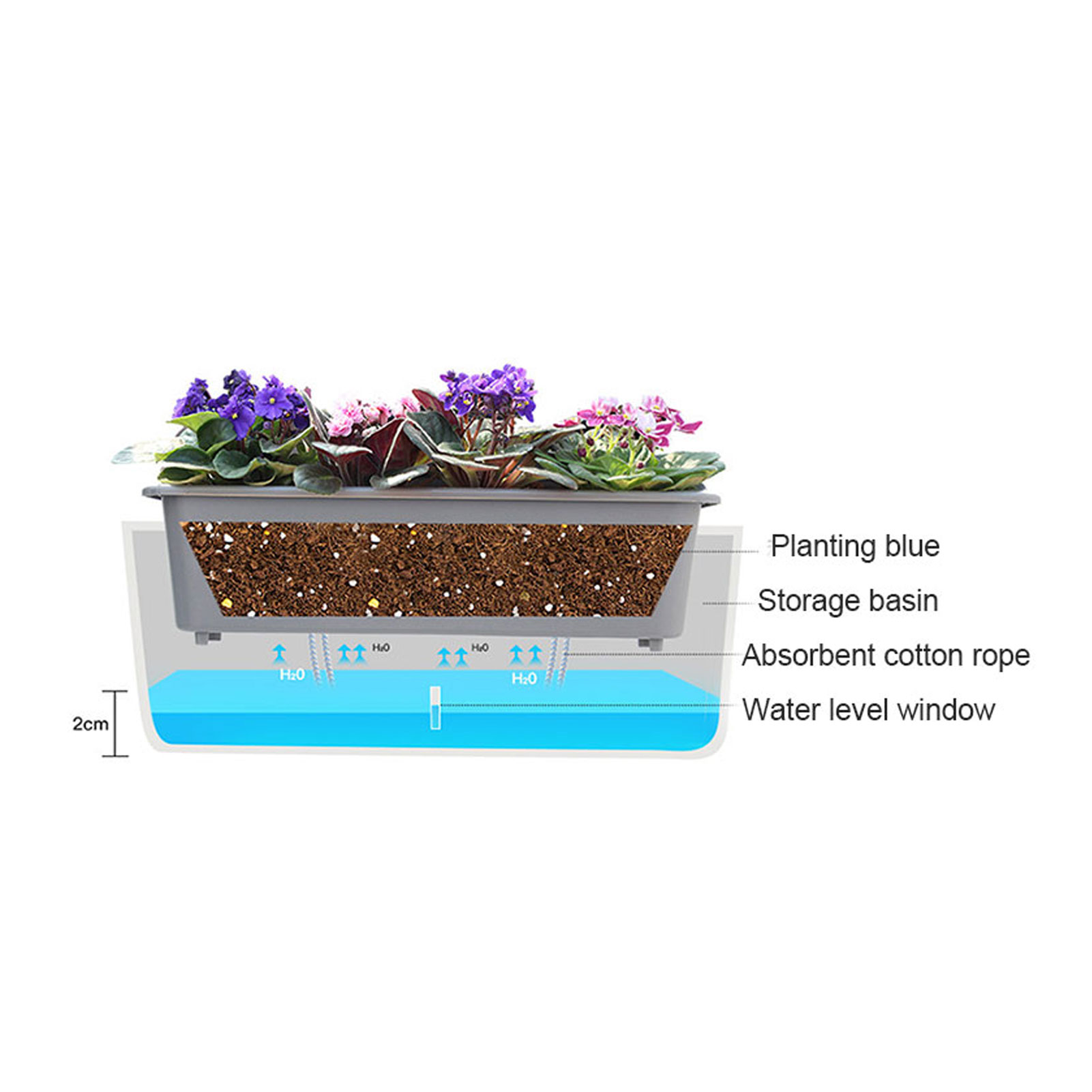 Self-Watering Planter Pots wit - Self Watering Insert avis et prix