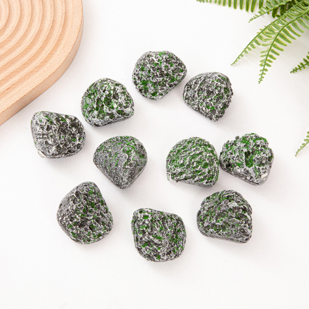 10PCS Mossy Gray Stone Multi-s - Sphagnum Moss Dry avis et prix