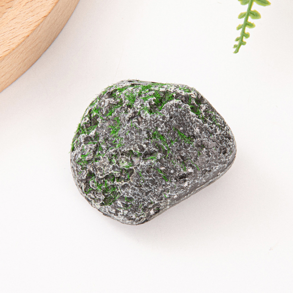 10PCS Mossy Gray Stone Multi-s - Sphagnum Moss Dry avis et prix