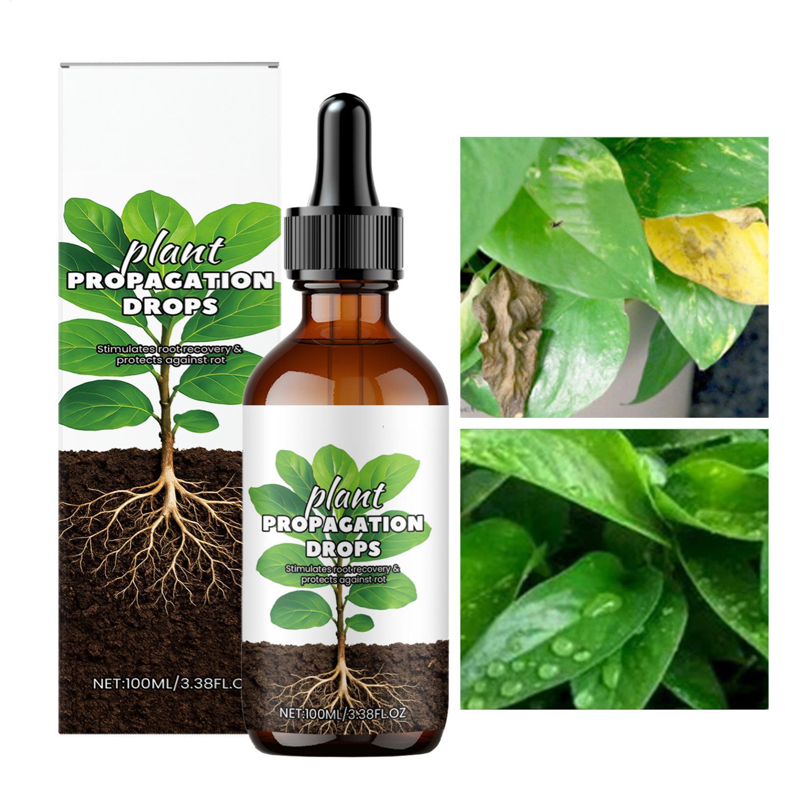 Root Booster 100ml Liquid Root - Root Stimulator Liquid avis et prix