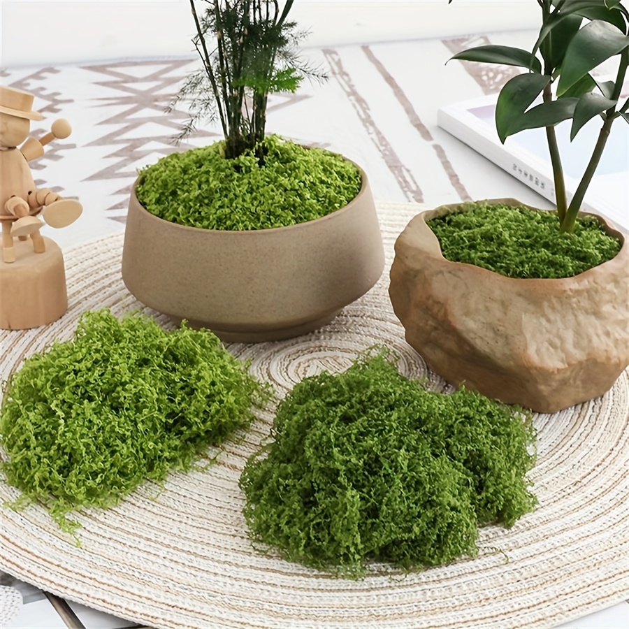 1pack Artificial Fake Moss, 1. - Sphagnum Moss Dry avis et prix