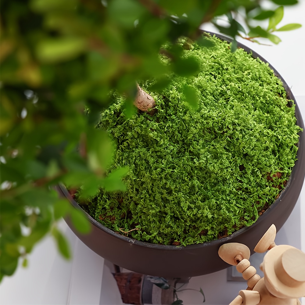 1pack Artificial Fake Moss, 1. - Sphagnum Moss Dry avis et prix