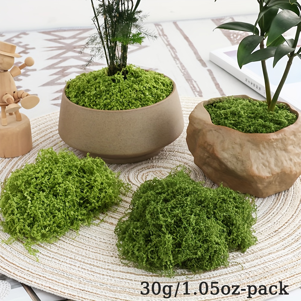 1pack Artificial Fake Moss, 1. - Sphagnum Moss Dry avis et prix