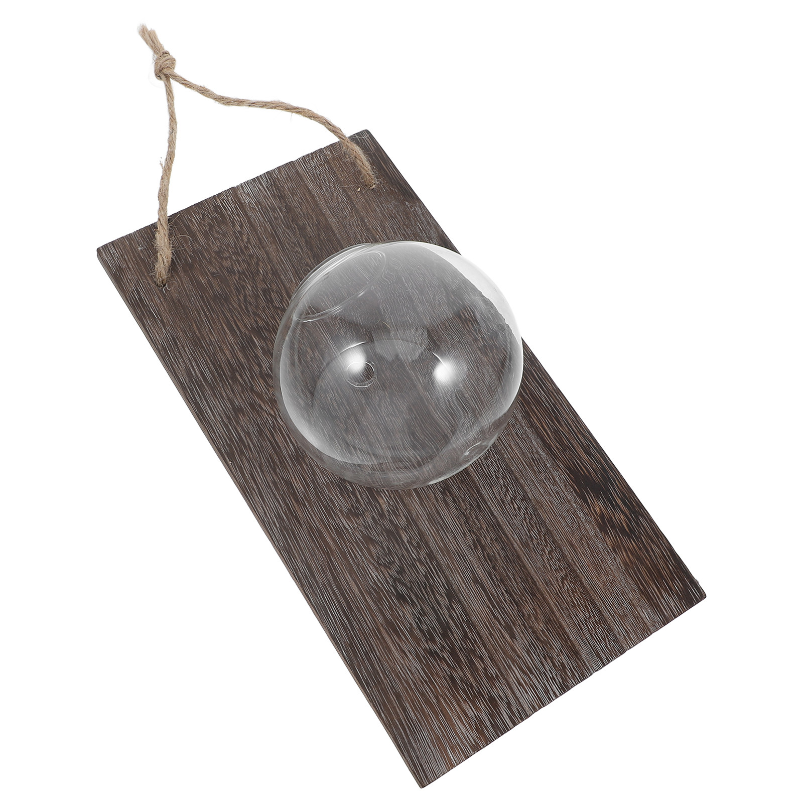 Wall Mounted Glass Vase Hangin - Propagation Station Vase avis et prix