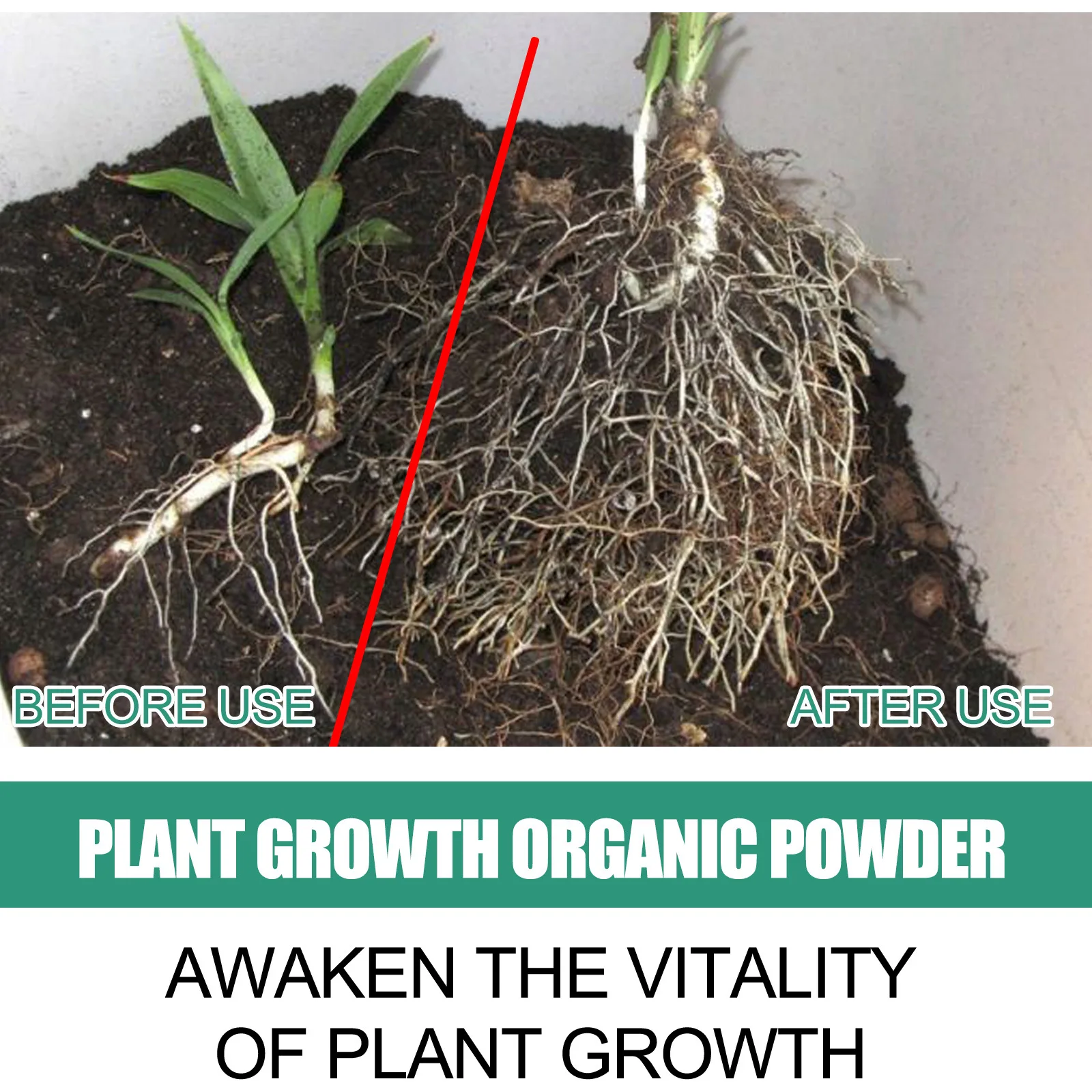 Fast Rooting Powder Plant Soil - Rooting Hormone Powder avis et prix