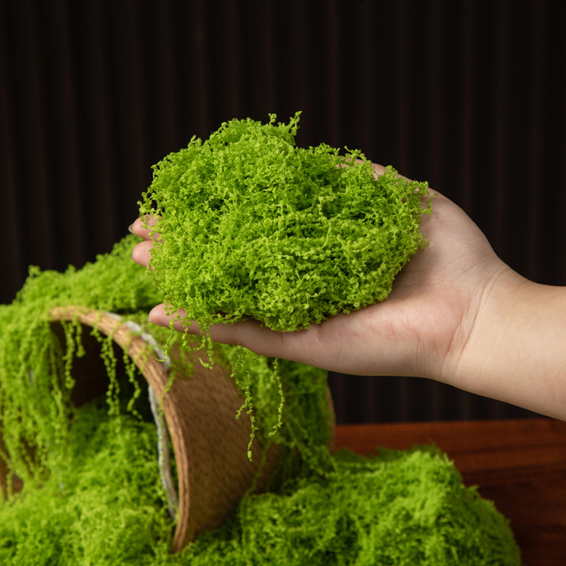 200g Eternal Life Moss DIY Cra - Sphagnum Moss Dry avis et prix