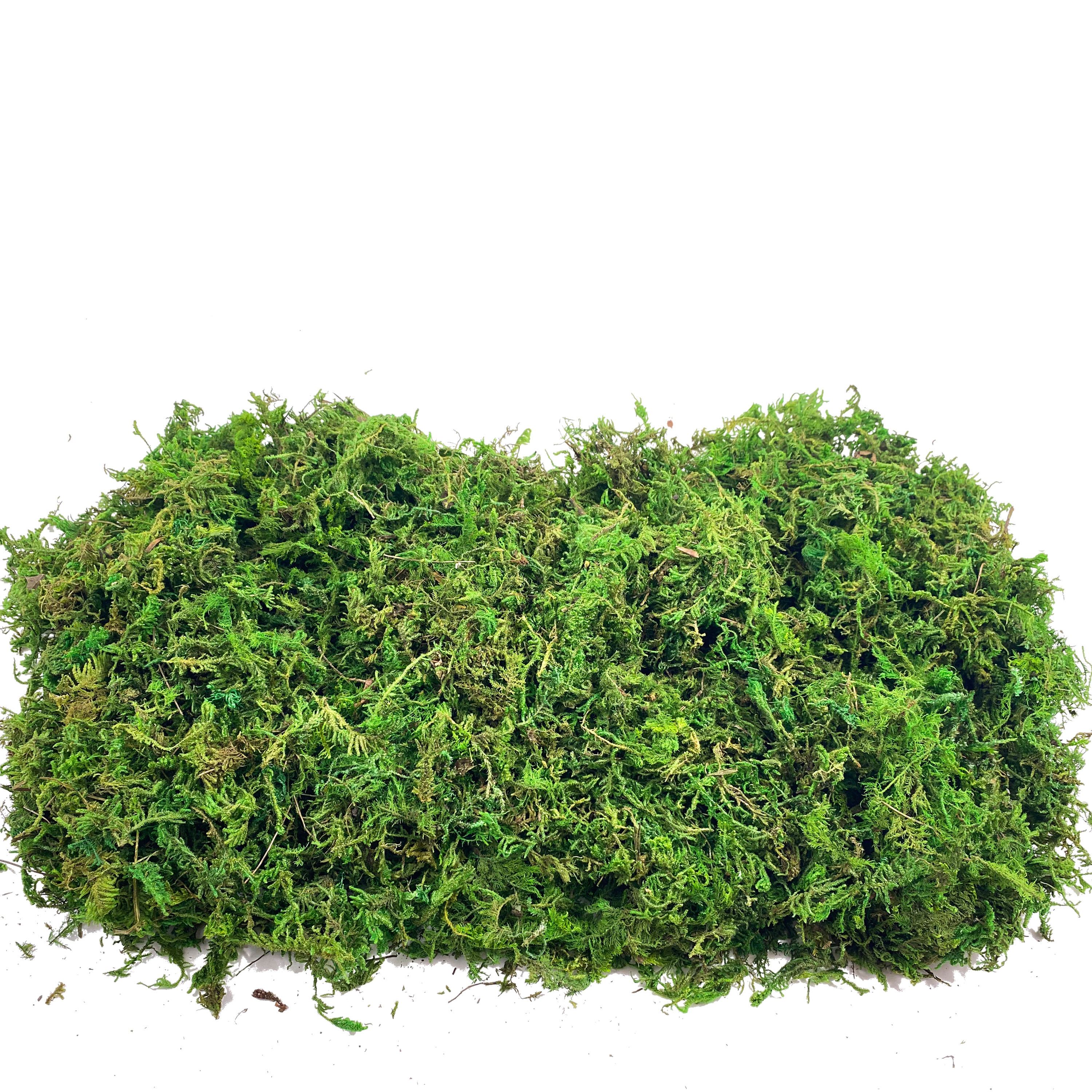 Artificial Fake Moss, Craft Mo - Sphagnum Moss Dry avis et prix