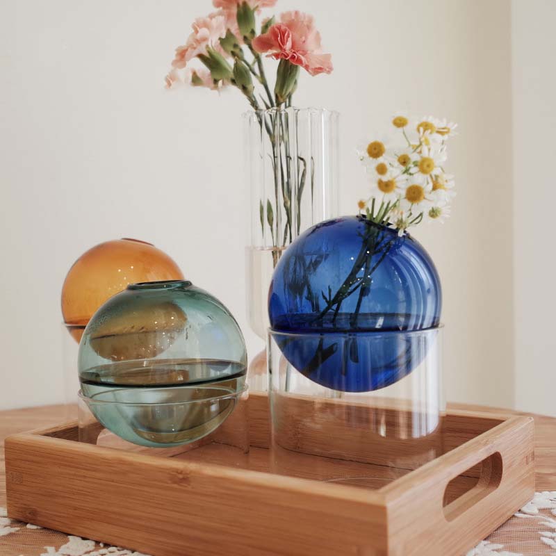 Mini Round Flower Vase Hydropo - Propagation Station Vase avis et prix