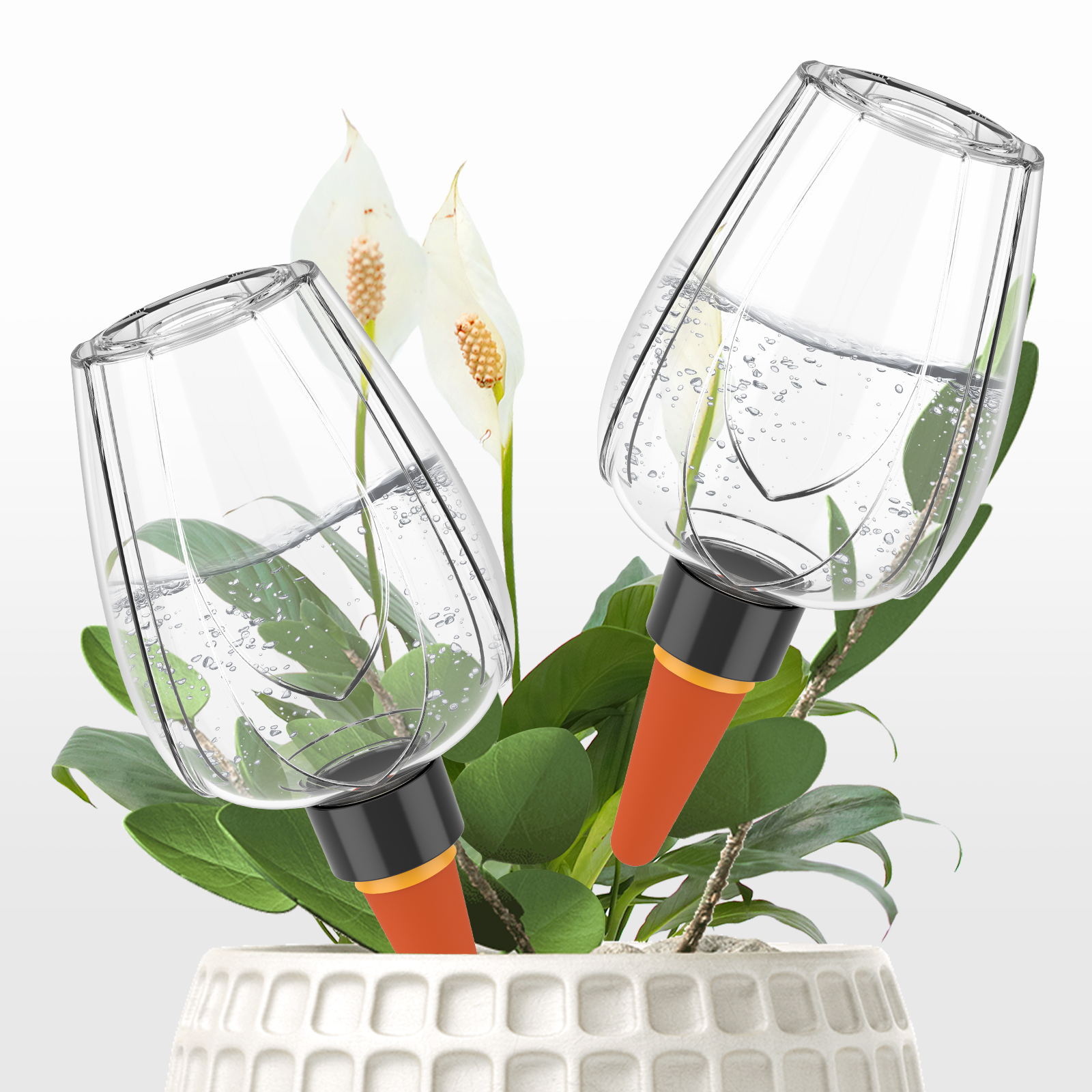 4Pcs Plant Watering Globe Clea - Self Watering Insert avis et prix
