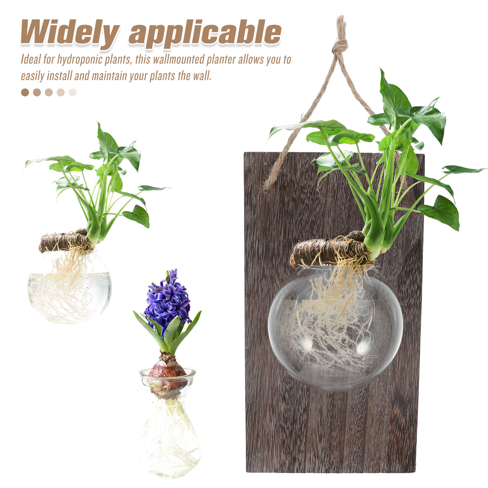 Wall Mounted Glass Planter Han - Propagation Station Vase avis et prix