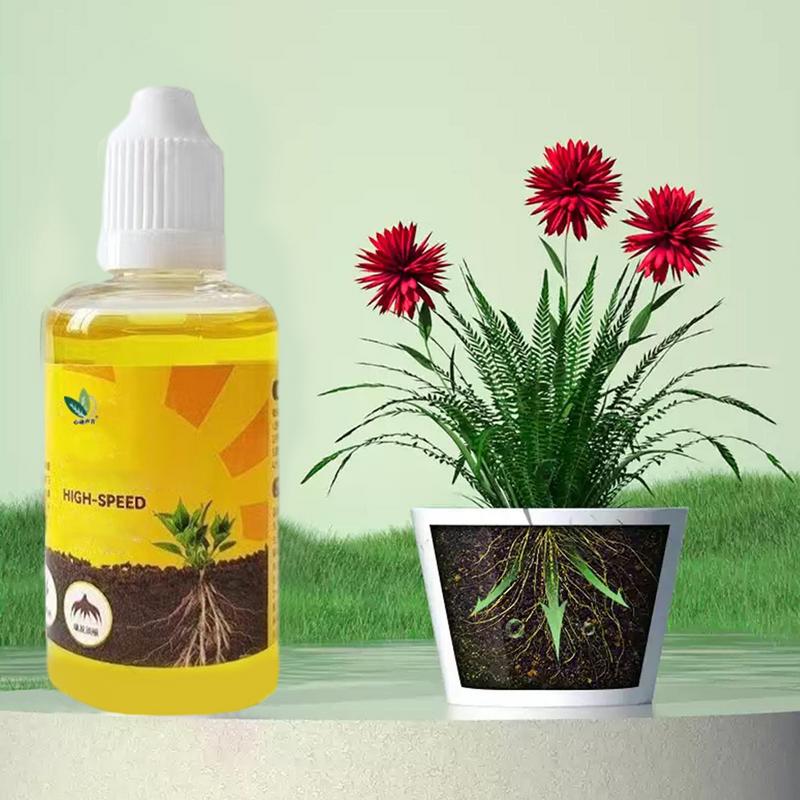 50ml Plant Root Stimulator Liq - Root Stimulator Liquid avis et prix