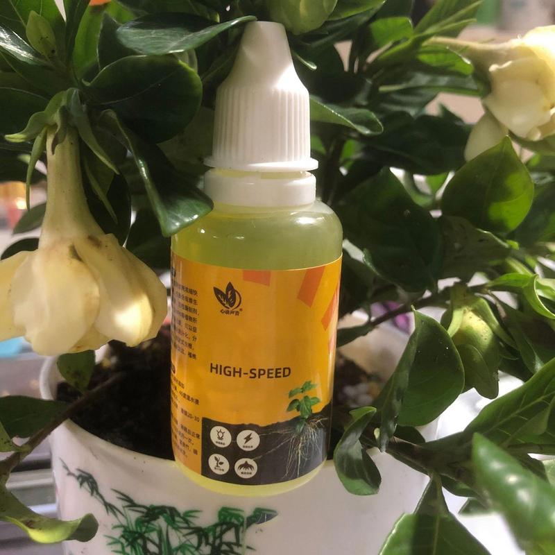 50ml Plant Root Stimulator Liq - Root Stimulator Liquid avis et prix