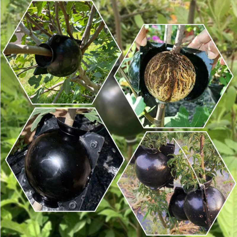 Garden Orchard Plants Grafting - Rooting Gel Clone avis et prix