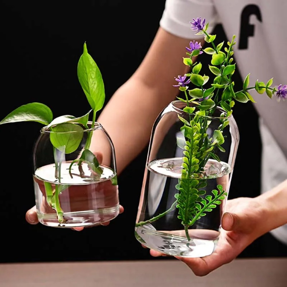 Creative Hydroponic Plant Glas - Propagation Station Vase avis et prix