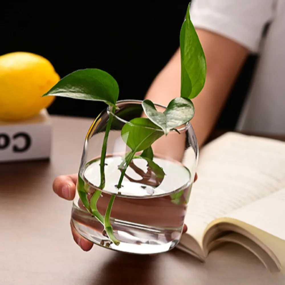 Creative Hydroponic Plant Glas - Propagation Station Vase avis et prix