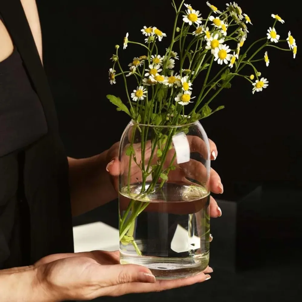 Creative Hydroponic Plant Glas - Propagation Station Vase avis et prix