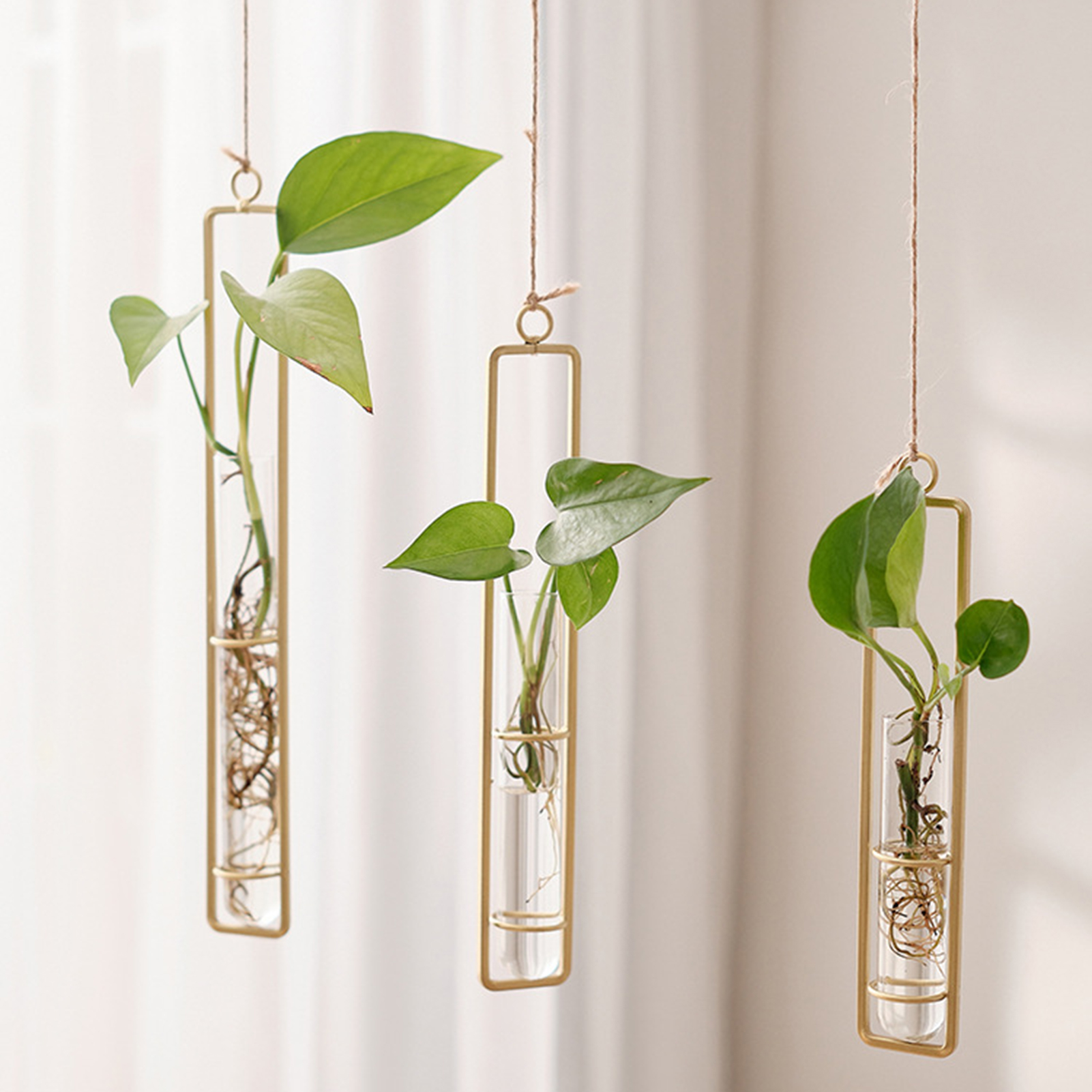 Wall Hanging Glass Vase Europe - Propagation Station Vase avis et prix