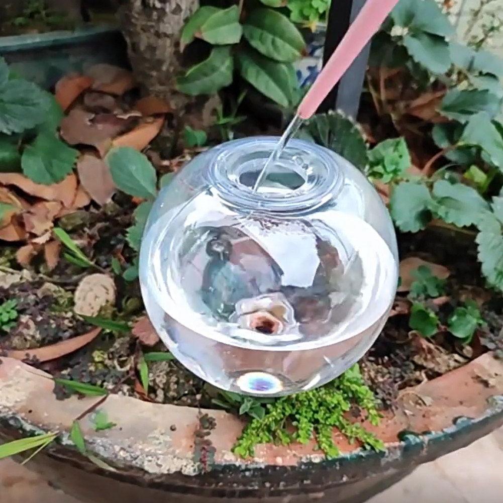 500ML Self Watering Globes Dri - Self Watering Insert avis et prix
