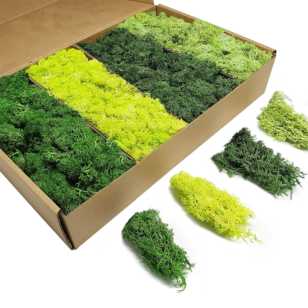 Artificial Green Plants Eterna - Sphagnum Moss Dry avis et prix