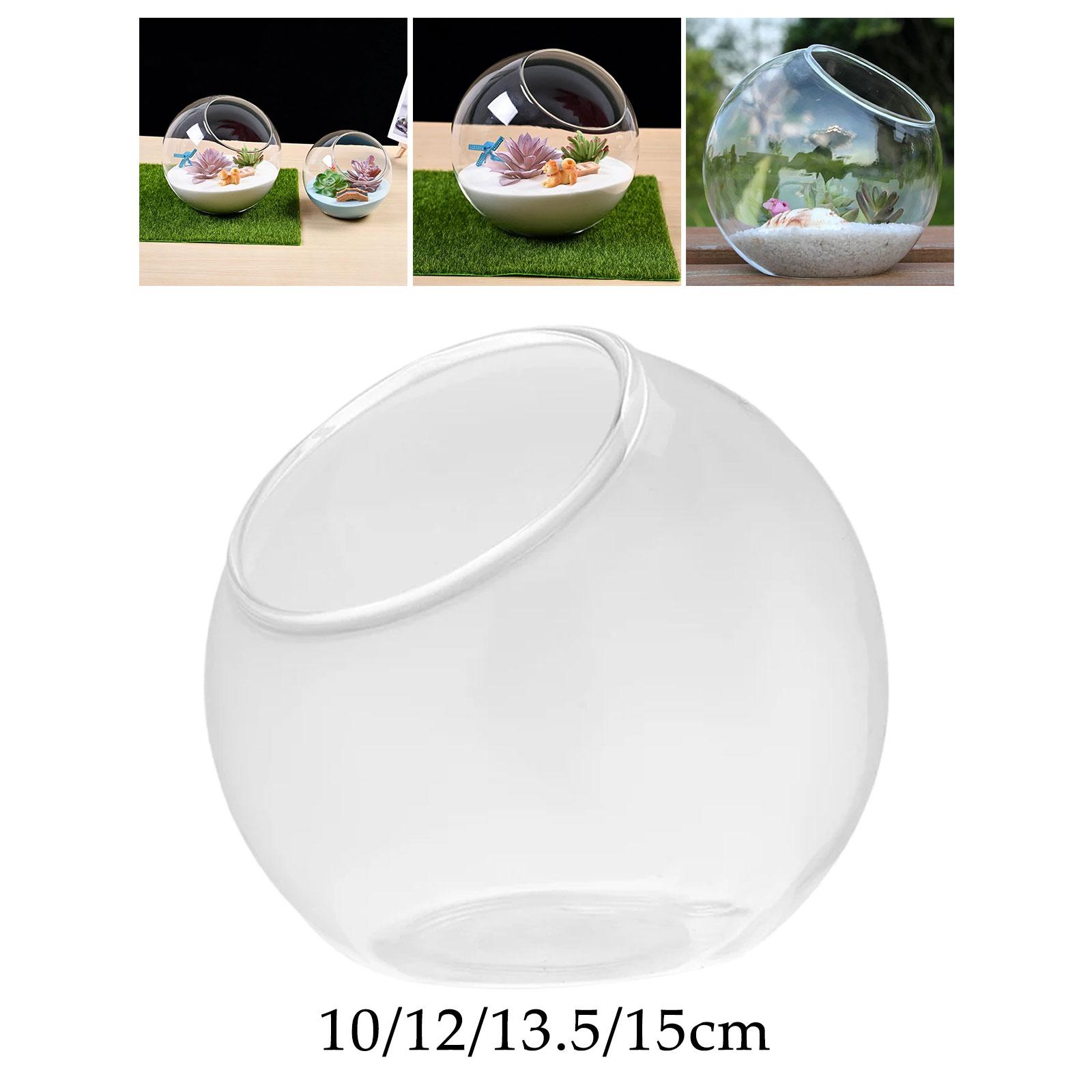 Terrarium Glass Vase Unique Ce - Propagation Station Vase avis et prix