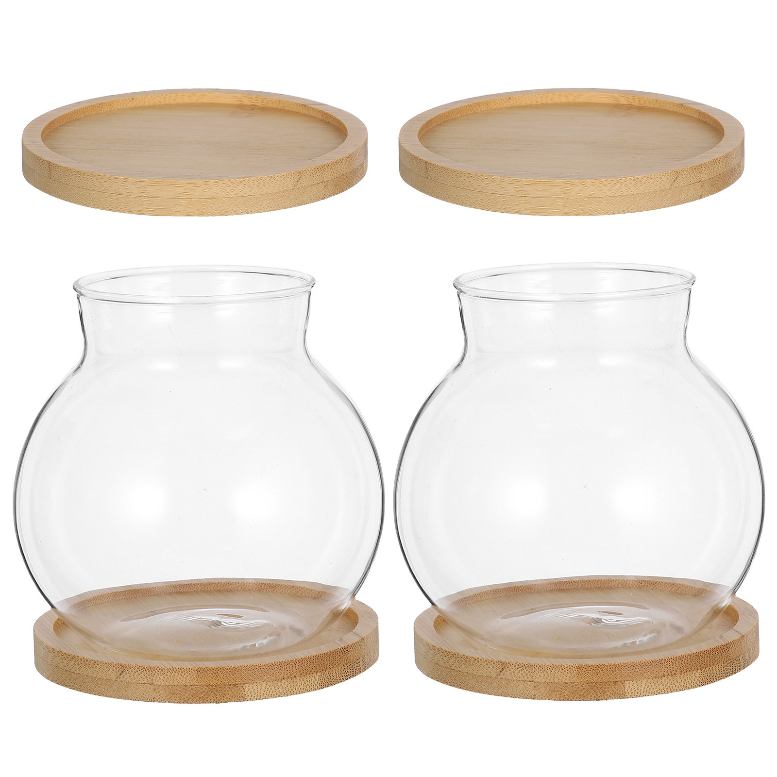 2Set Hydroponic Vase Glass Pla - Propagation Station Vase avis et prix