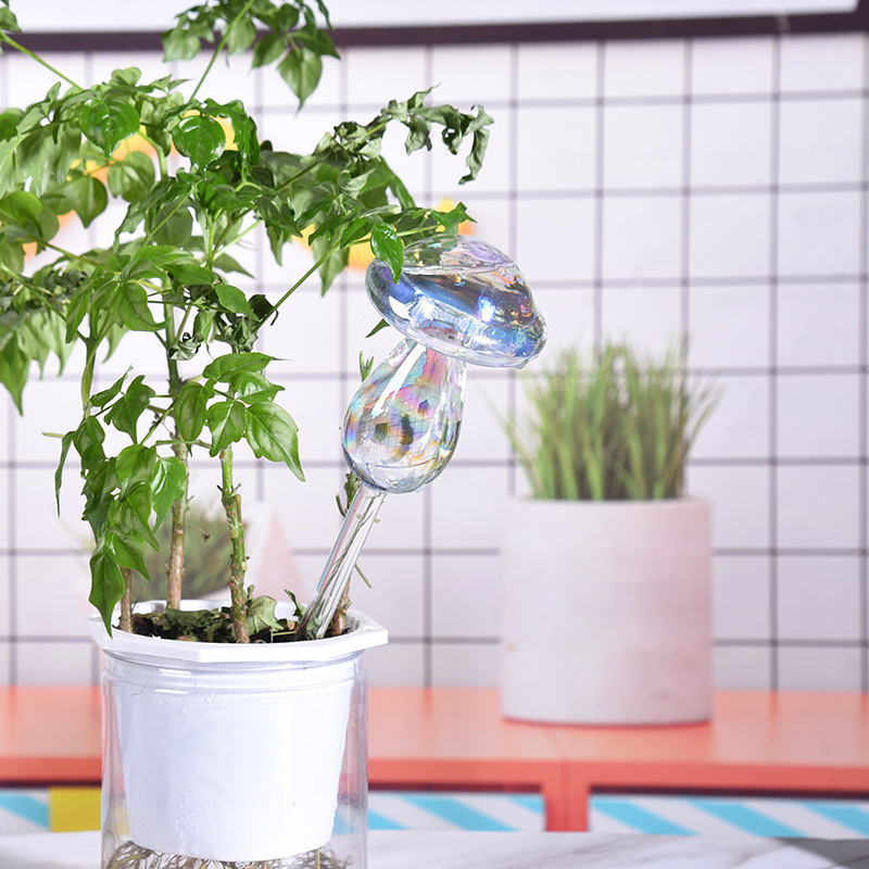 1/2PCS Glass Straw Automatic P - Self Watering Insert avis et prix