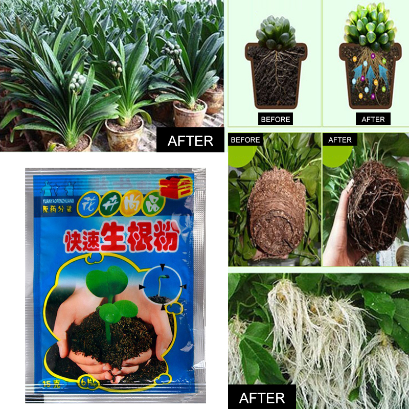 5pcs Fast Rooting Powder Plant - Rooting Hormone Powder avis et prix