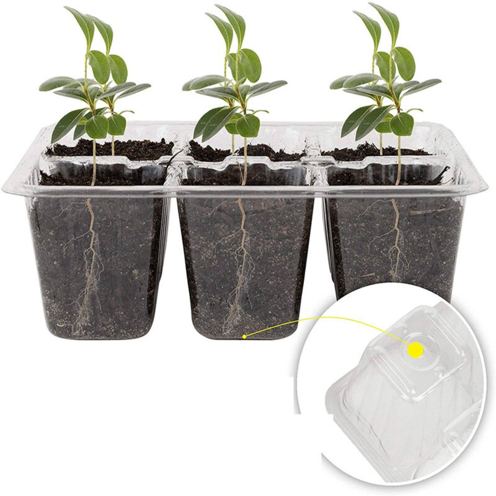 12 Compartment Germination Tra - Humidity Dome Kit avis et prix