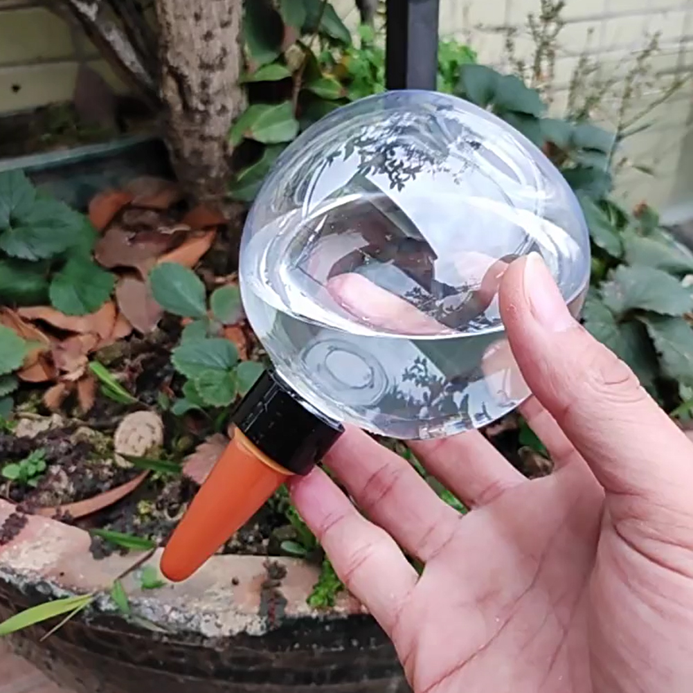 500ML Self Watering Globes Dri - Self Watering Insert avis et prix