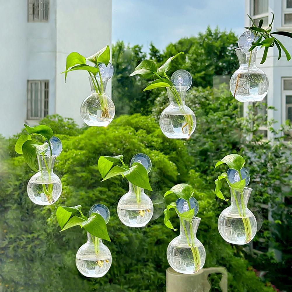 Window Planter Vase Window Pla - Propagation Station Vase avis et prix