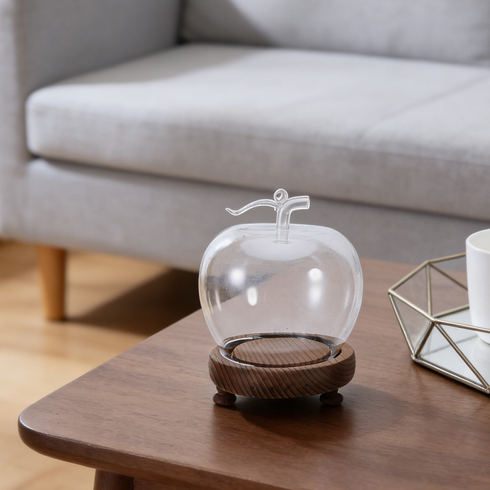 Clear Glass Dome Display with  - Plastic Dome Clear avis et prix