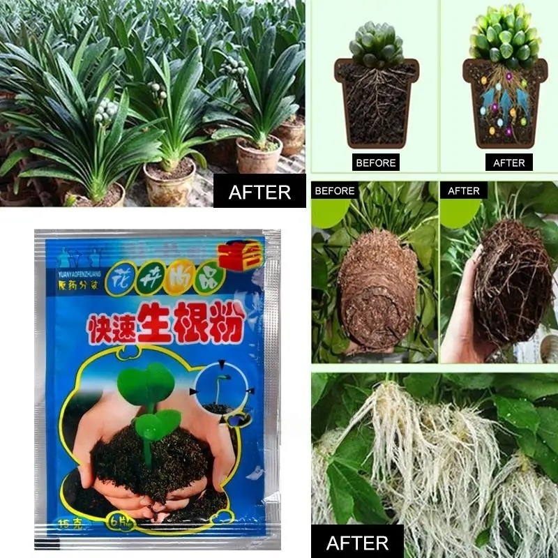 5pcs Fast Rooting Powder Plant - Rooting Hormone Powder avis et prix