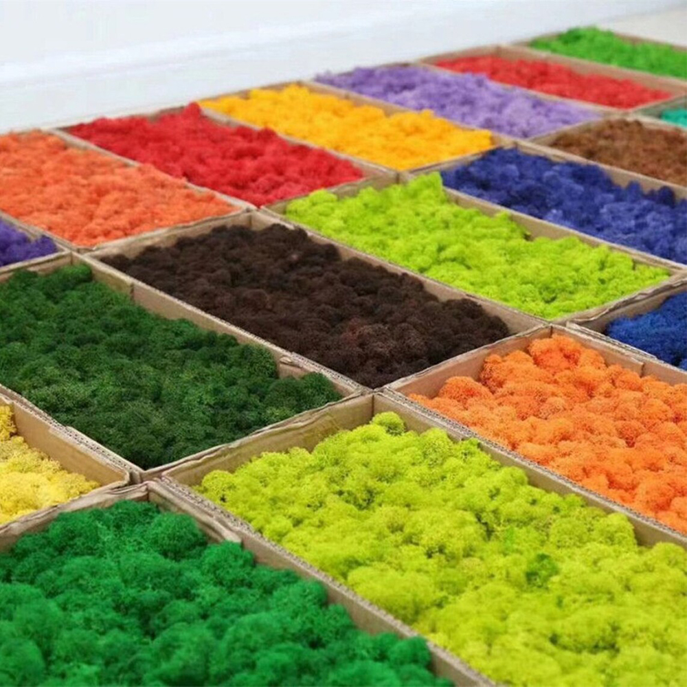 Artificial Green Plants Mini L - Sphagnum Moss Dry avis et prix