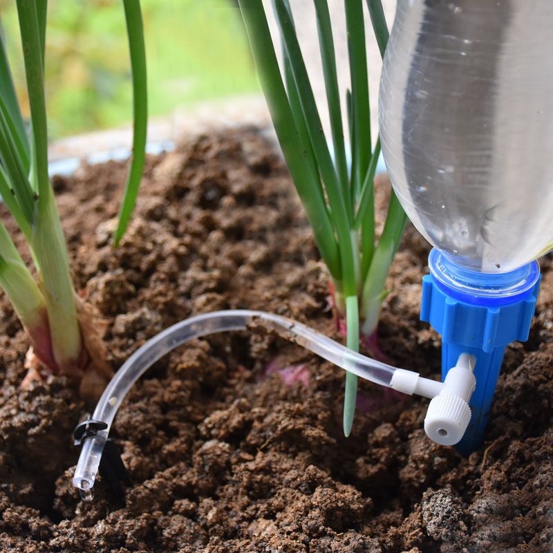 Drip Irrigation Automatic Plan - Self Watering Insert avis et prix
