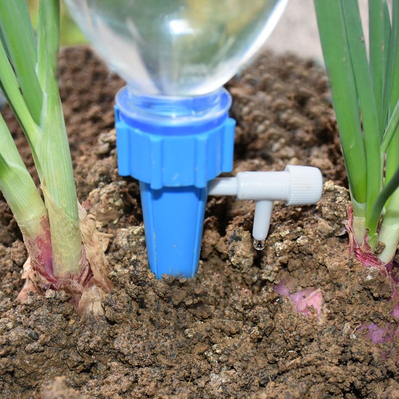 Drip Irrigation Automatic Plan - Self Watering Insert avis et prix