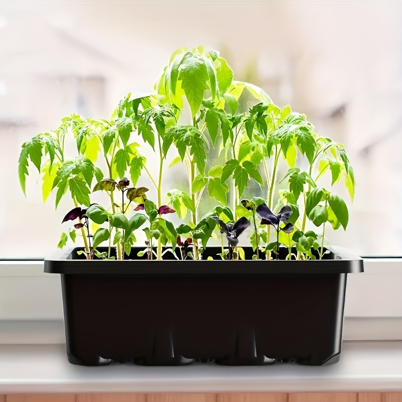 Seedling Starter Kit 1/2/3 Set - Humidity Dome Kit avis et prix