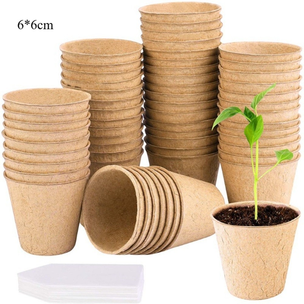 50PCS Biodegradable Plant Star - Peat Pellet Tray avis et prix
