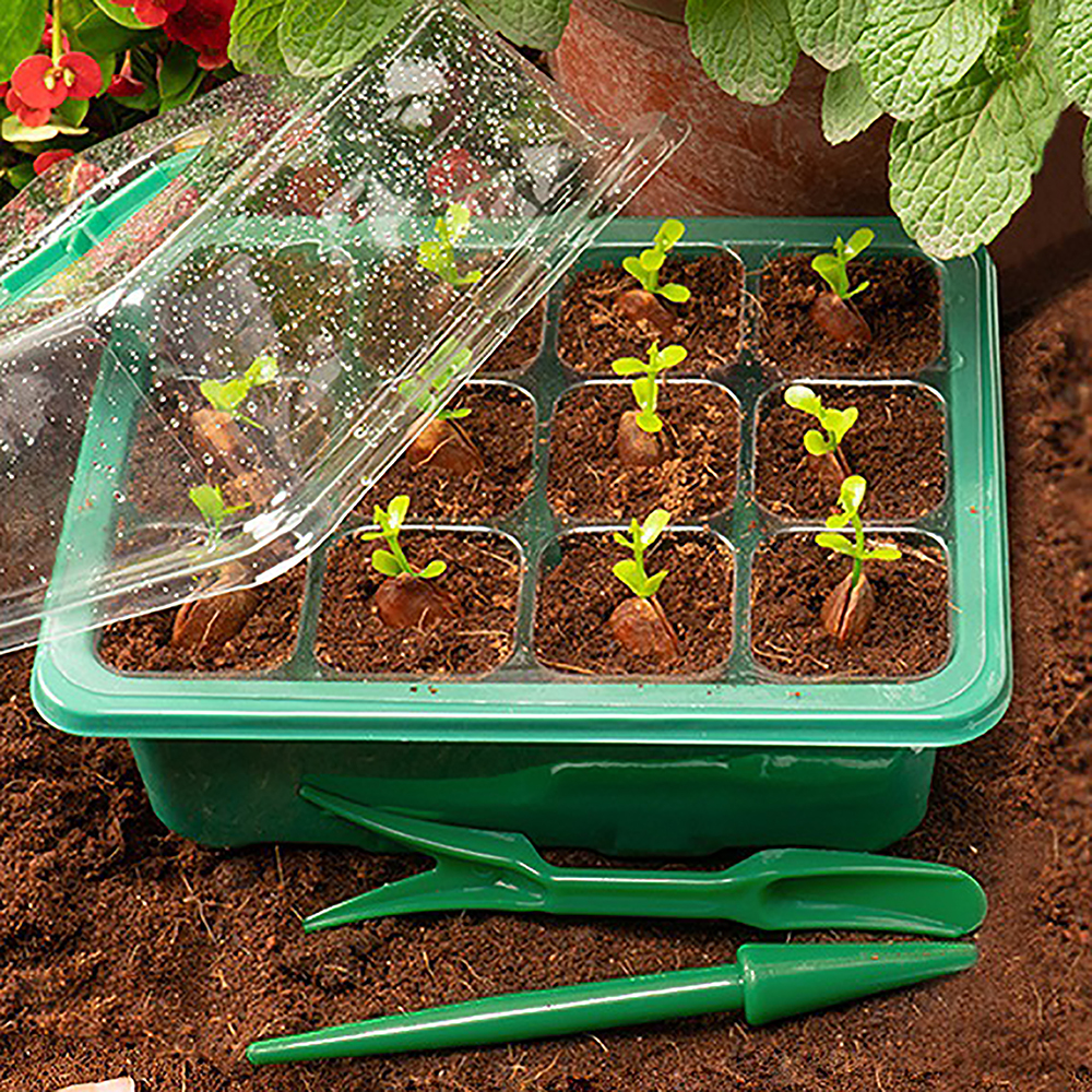 Seed Starter Trays with Grow L - Humidity Dome Kit avis et prix