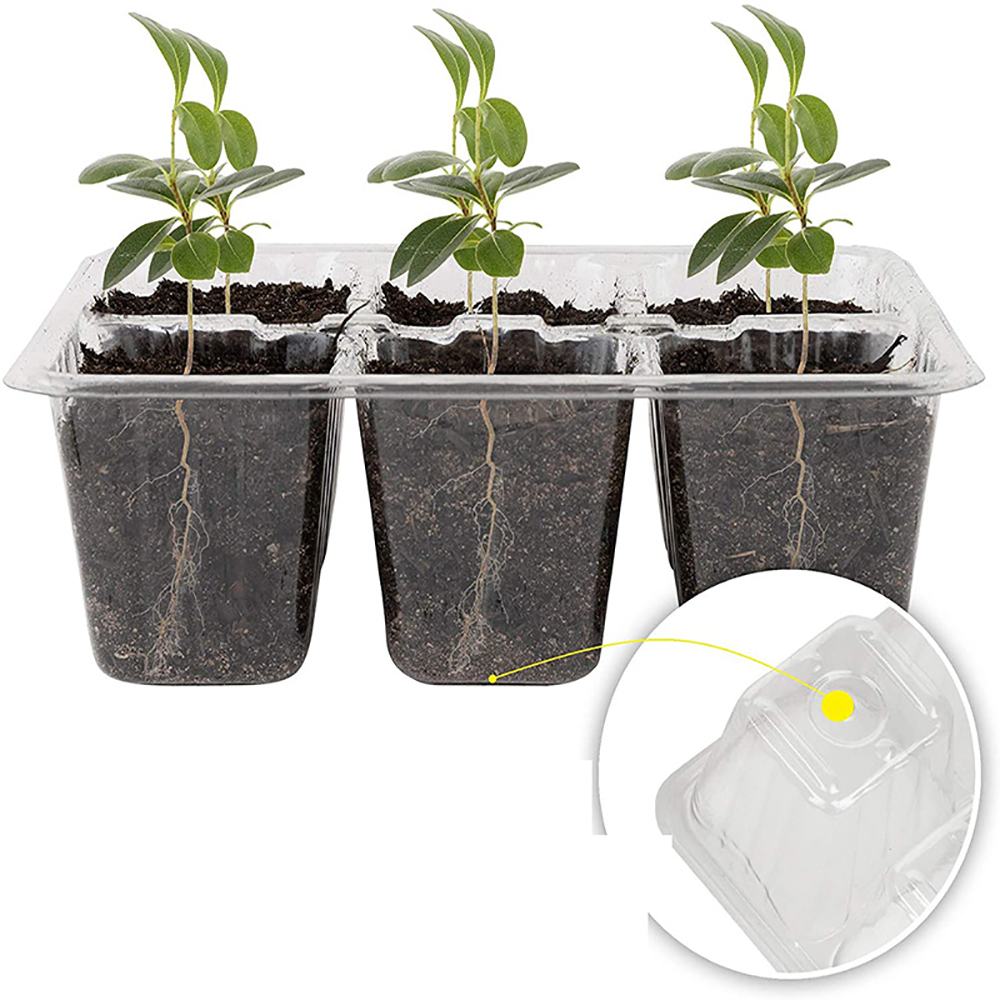 Seed Starter Trays with Grow L - Humidity Dome Kit avis et prix