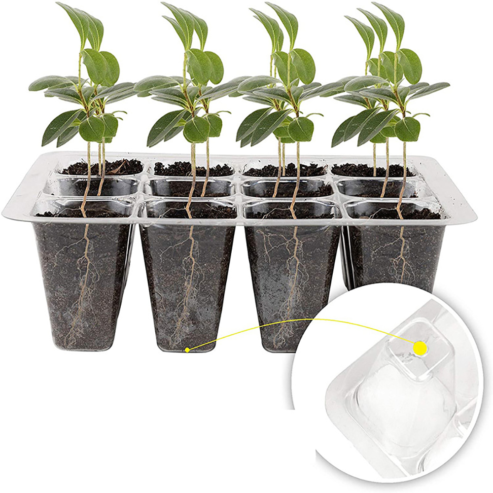 Seed Starter Trays with Grow L - Humidity Dome Kit avis et prix