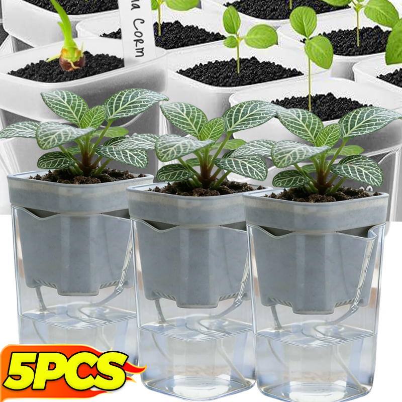 Transparent Flower Plant Pot S - Self Watering Insert avis et prix