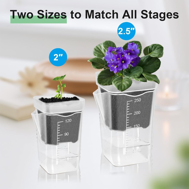 Transparent Flower Plant Pot S - Self Watering Insert avis et prix