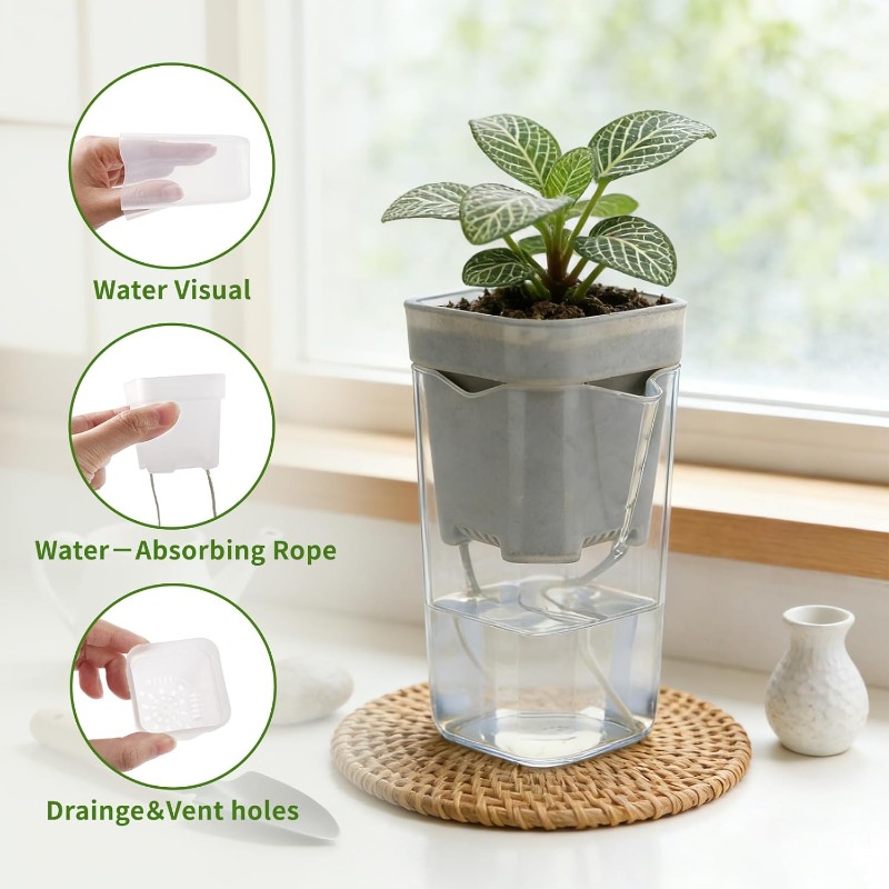 Transparent Flower Plant Pot S - Self Watering Insert avis et prix